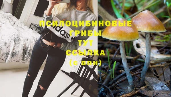 мяу мяу мука Вяземский