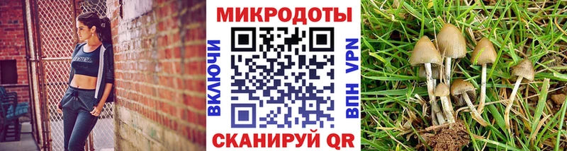 Галлюциногенные грибы мицелий  наркотики  Саранск 